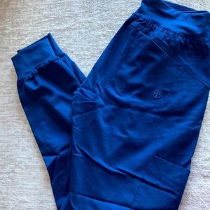 Scrub joggers healing hands purple label